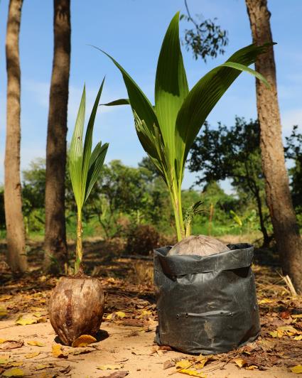 Image No.16-Land for sale