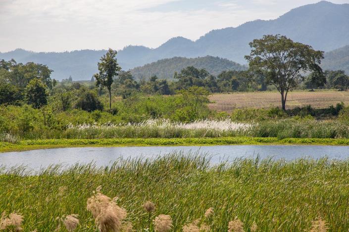 Image No.10-Land for sale