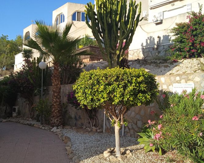 Image No.12-1 Bed Apartment for sale