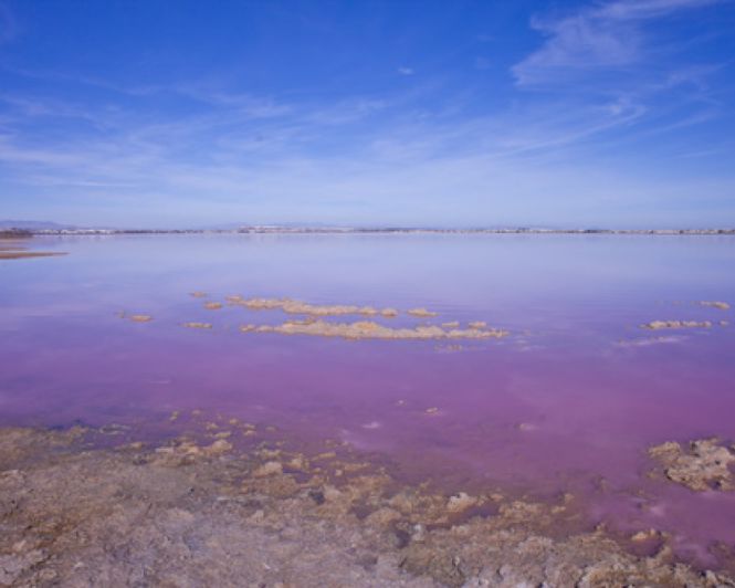 Image No.40-2 Bed Villa for sale