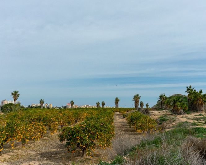 Image No.43-2 Bed Villa for sale