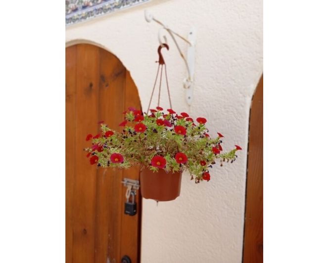 Image No.12-3 Bed Villa for sale