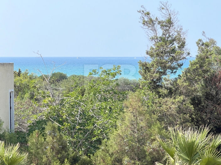 Image No.28-3 Bed Bungalow for sale