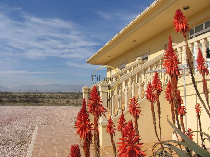 Image No.24-3 Bed Country House for sale