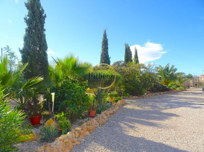 Image No.3-7 Bed Country House for sale