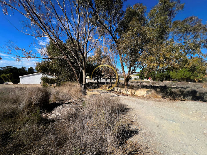 Image No.20-4 Bed Country House for sale