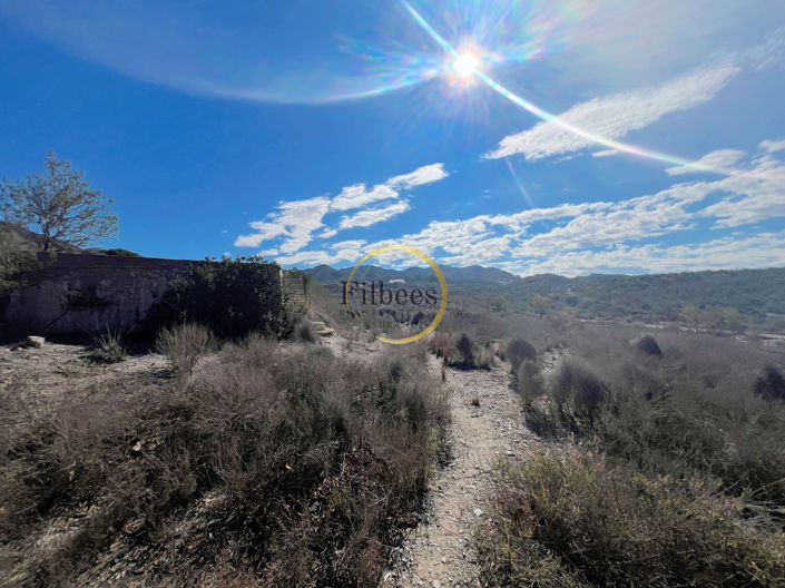 Image No.19-4 Bed Country House for sale