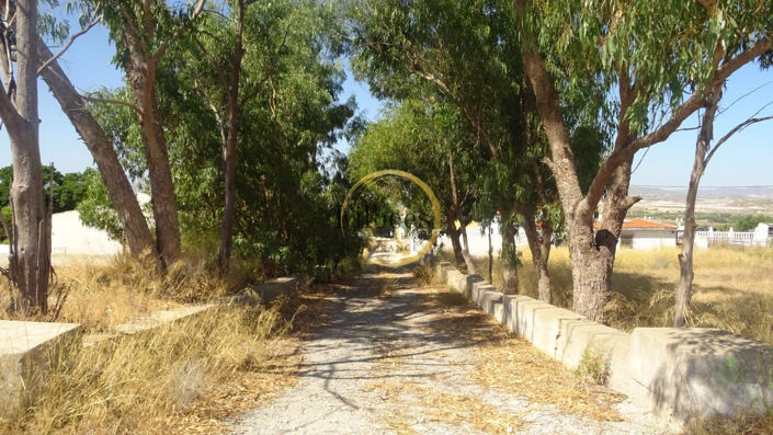 Image No.16-4 Bed Country House for sale