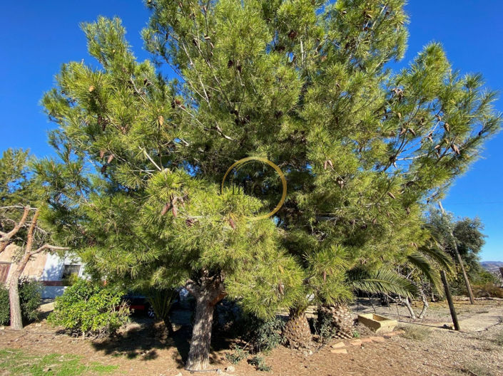 Image No.23-Country House for sale