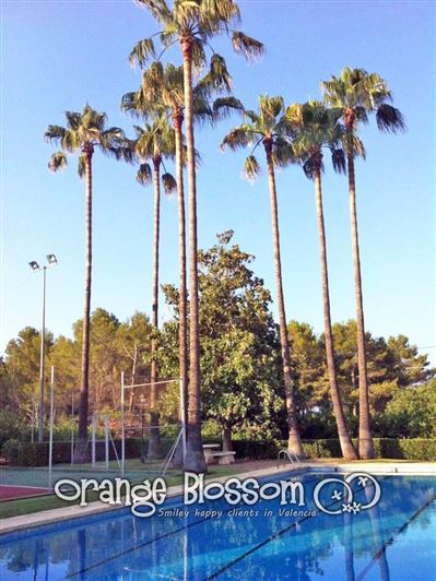 Image No.6-7 Bed Villa for sale