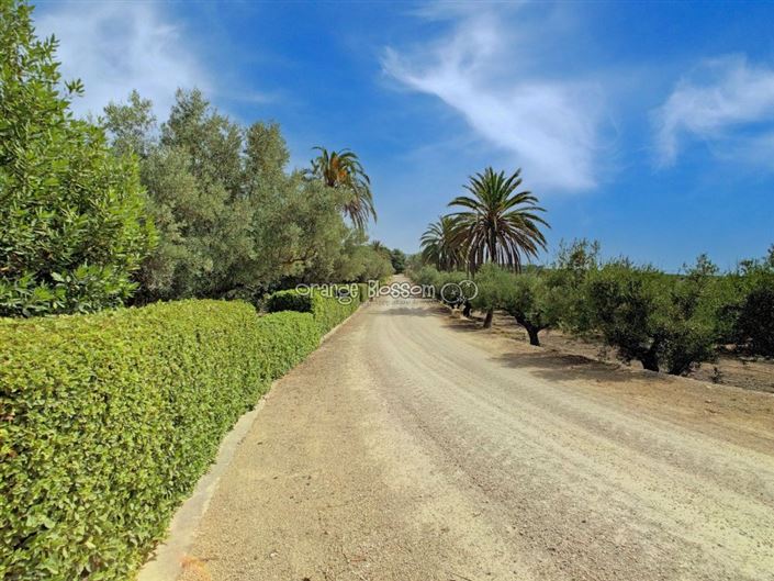 Image No.20-Villa de 8 chambres à vendre à Ontinyent