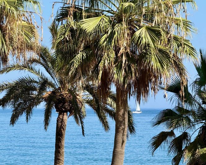 Image No.8-4 Bed Apartment for sale