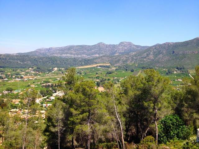 Image No.3-Land for sale