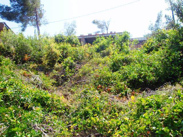 Image No.5-Land for sale