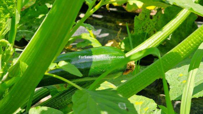 Image No.18-3 Bed Villa for sale