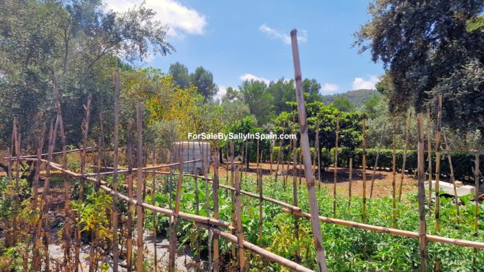 Image No.17-3 Bed Villa for sale