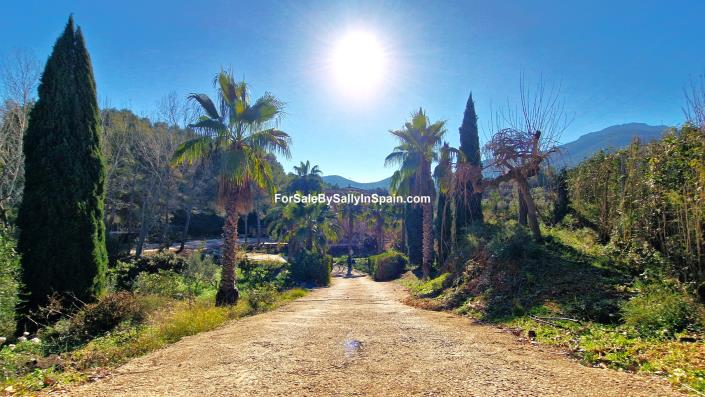 Image No.3-8 Bed Finca for sale