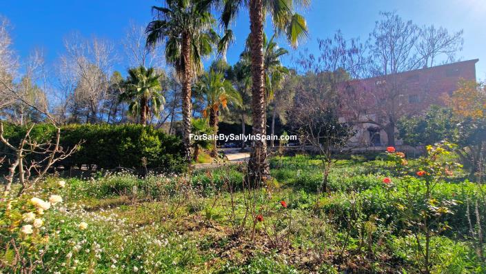 Image No.16-8 Bed Finca for sale