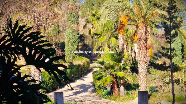 Image No.19-8 Bed Finca for sale