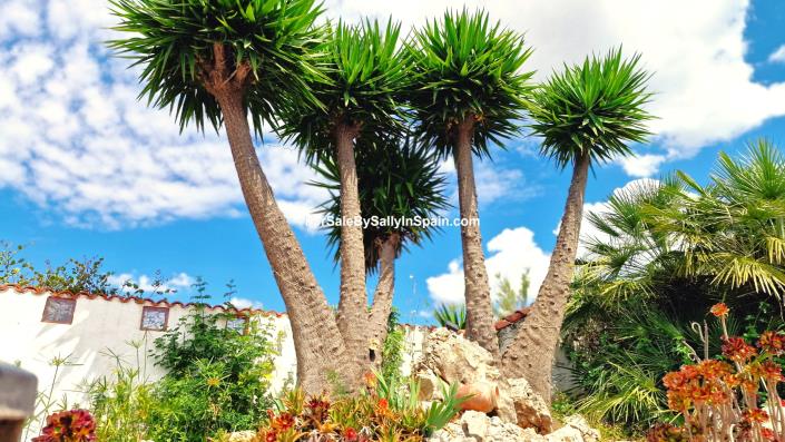 Image No.12-5 Bed Villa for sale