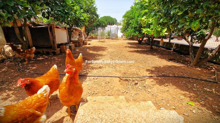 Image No.8-4 Bed Villa for sale