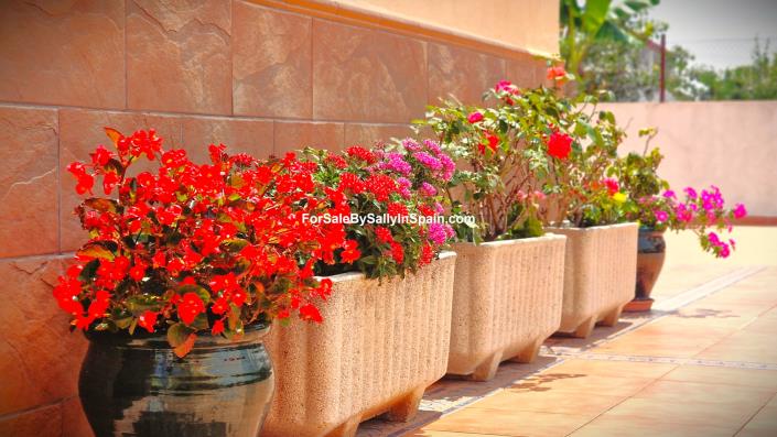 Image No.14-4 Bed Villa for sale