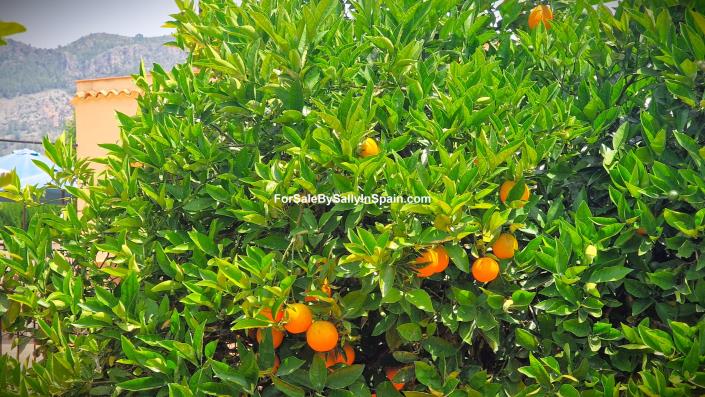 Image No.16-4 Bed Villa for sale