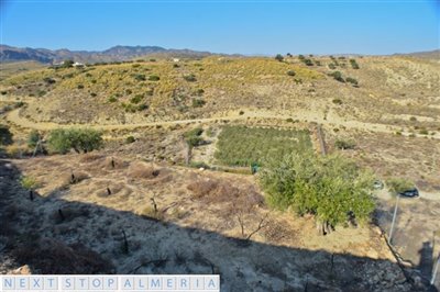 Views of the plot from the highest point
