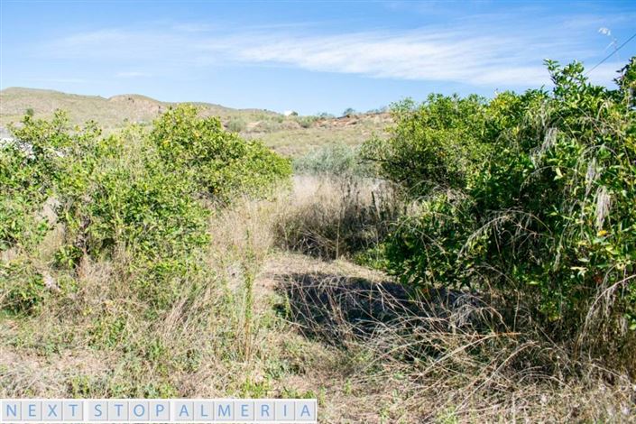 Image No.6-Property for sale