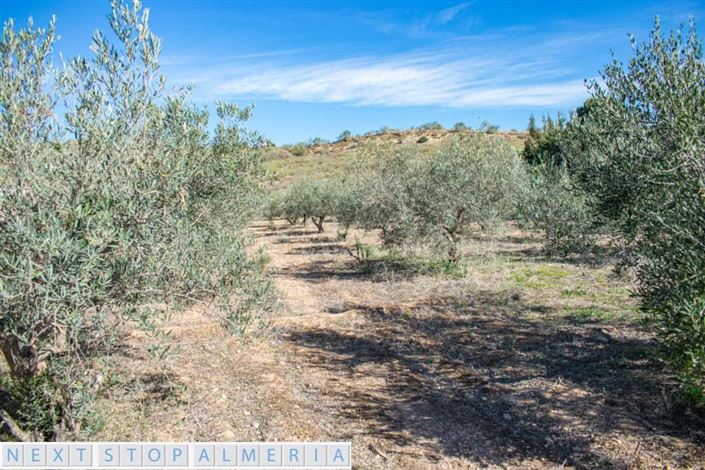 Image No.8-Property for sale