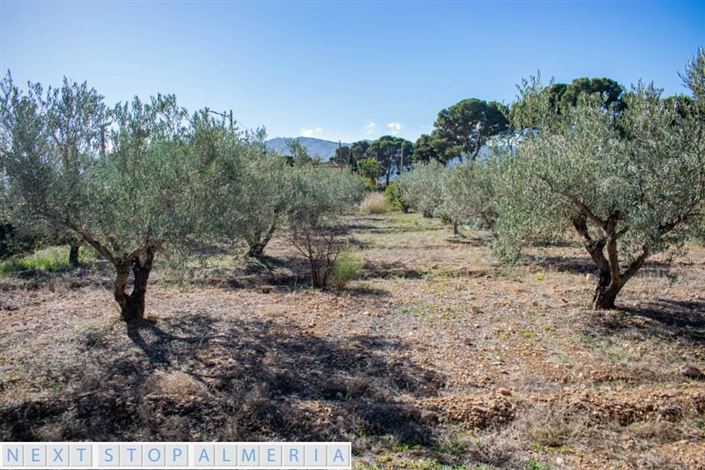 Image No.9-Property for sale