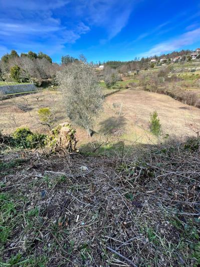 Image No.8-4 Bed Farmhouse for sale