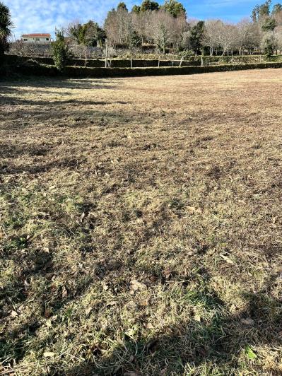 Image No.16-4 Bed Farmhouse for sale