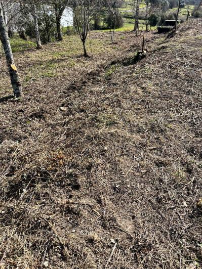 Image No.28-4 Bed Farmhouse for sale