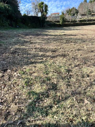 Image No.29-4 Bed Farmhouse for sale