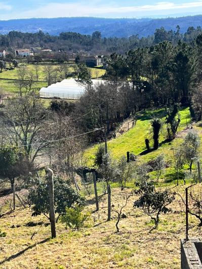 Image No.34-4 Bed Farmhouse for sale