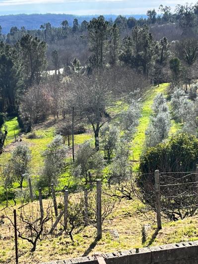 Image No.35-4 Bed Farmhouse for sale