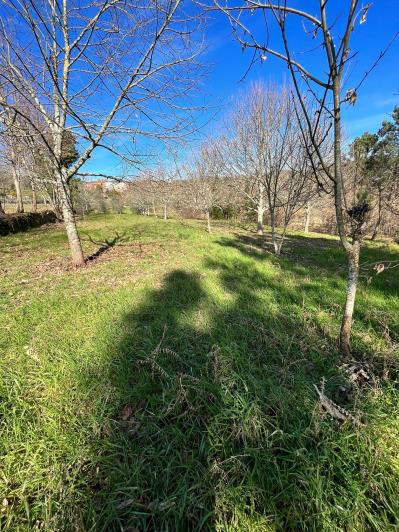 Image No.36-4 Bed Farmhouse for sale