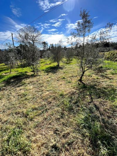 Image No.37-4 Bed Farmhouse for sale