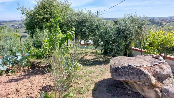 Image No.6-Land for sale