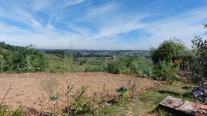 Image No.2-Land for sale