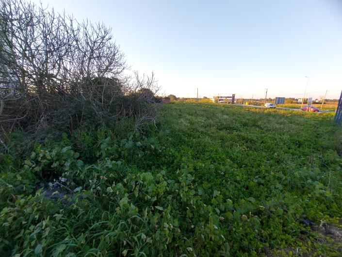 Image No.1-Land for sale