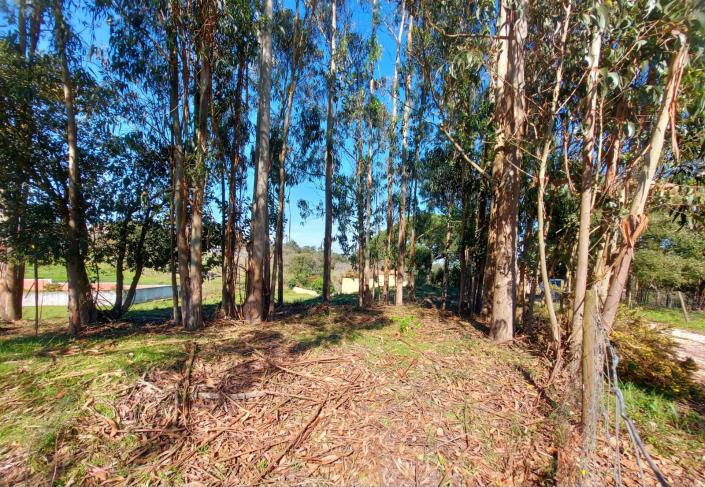 Image No.4-Plot for sale