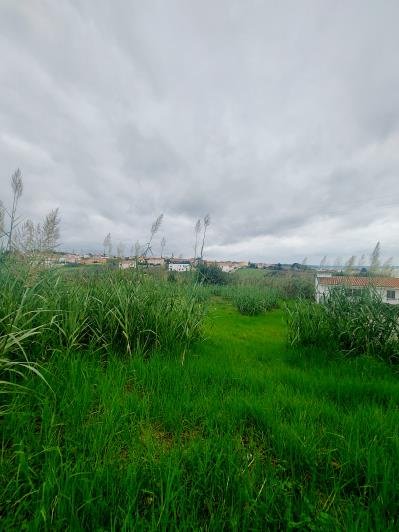 Image No.19-Land for sale