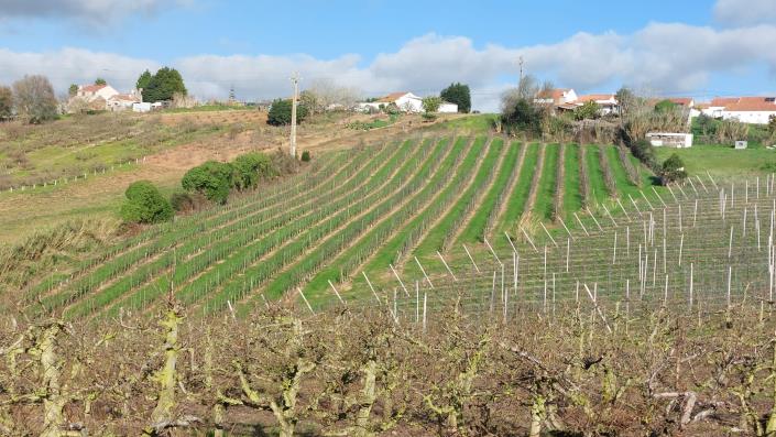 Image No.2-Land for sale