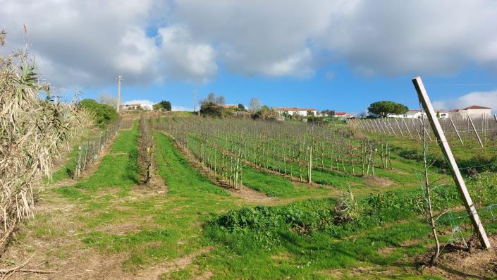 Image No.4-Land for sale