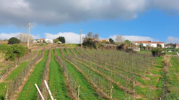 Image No.5-Land for sale