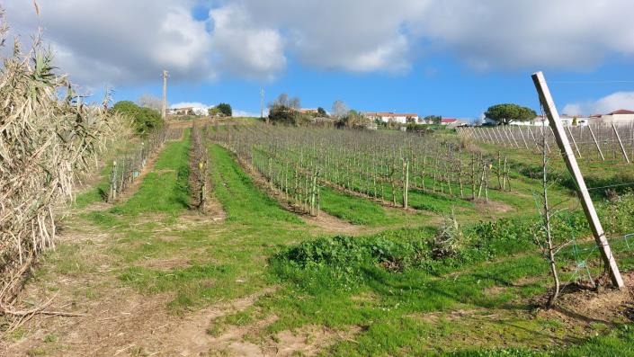 Image No.13-Land for sale