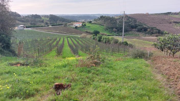 Image No.16-Land for sale