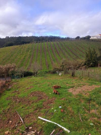 Image No.24-3 Bed Villa for sale